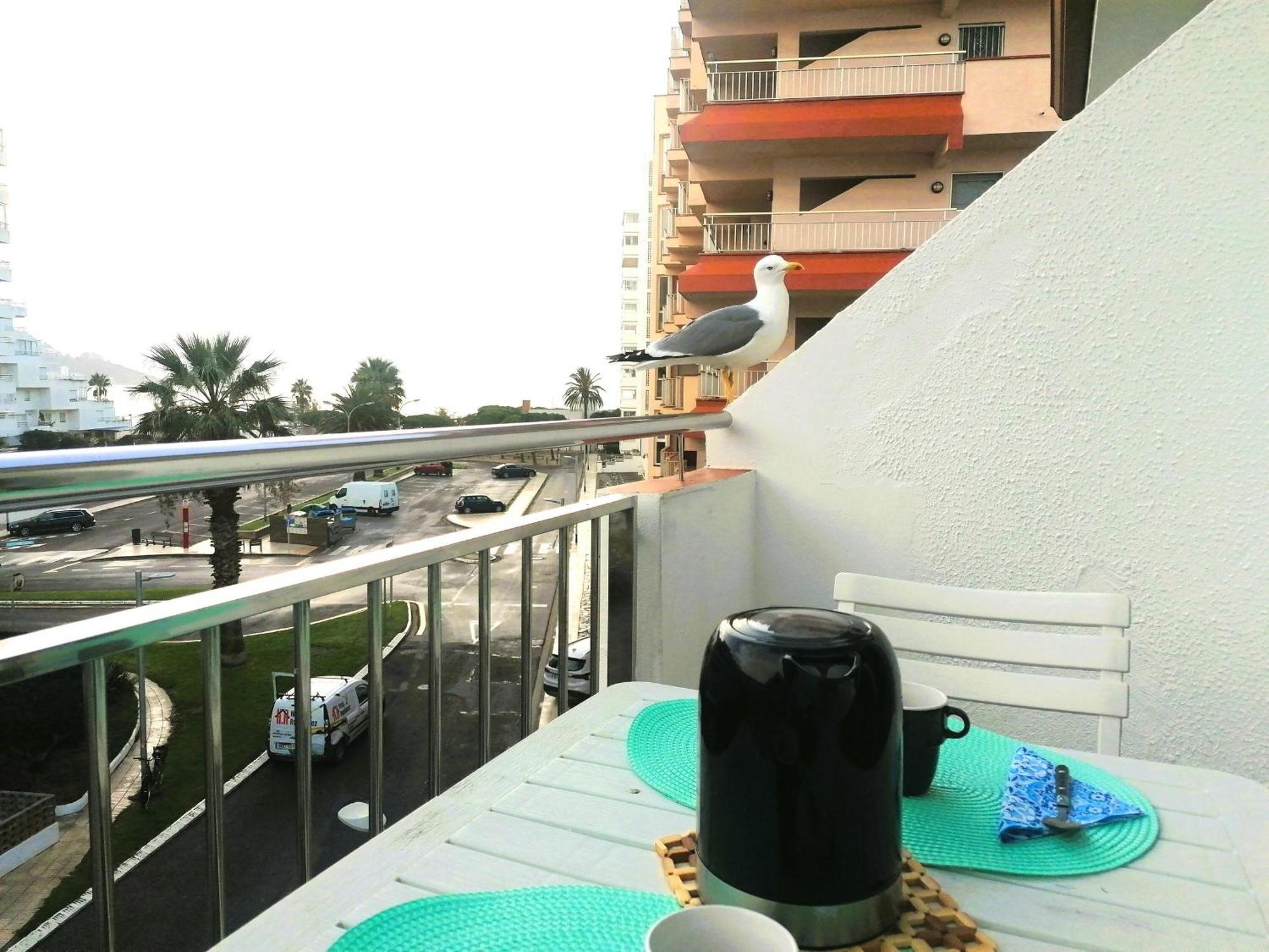 Apartamento 2196 Puesta De Sol 3-3, En La Playa Mas Espaciosa De Roses, Vista Mar, Terraza. - Es-258-83 *